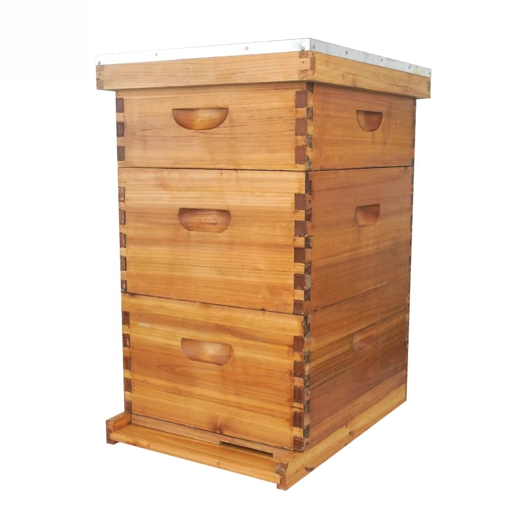 Arnia Langstroth completa a 3  - Beehive Frame Wax recensione e prezzo